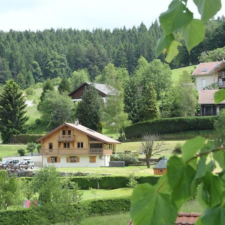 Chalet Centauree - Remy Herold Xonrupt-Longemer Exteriér fotografie
