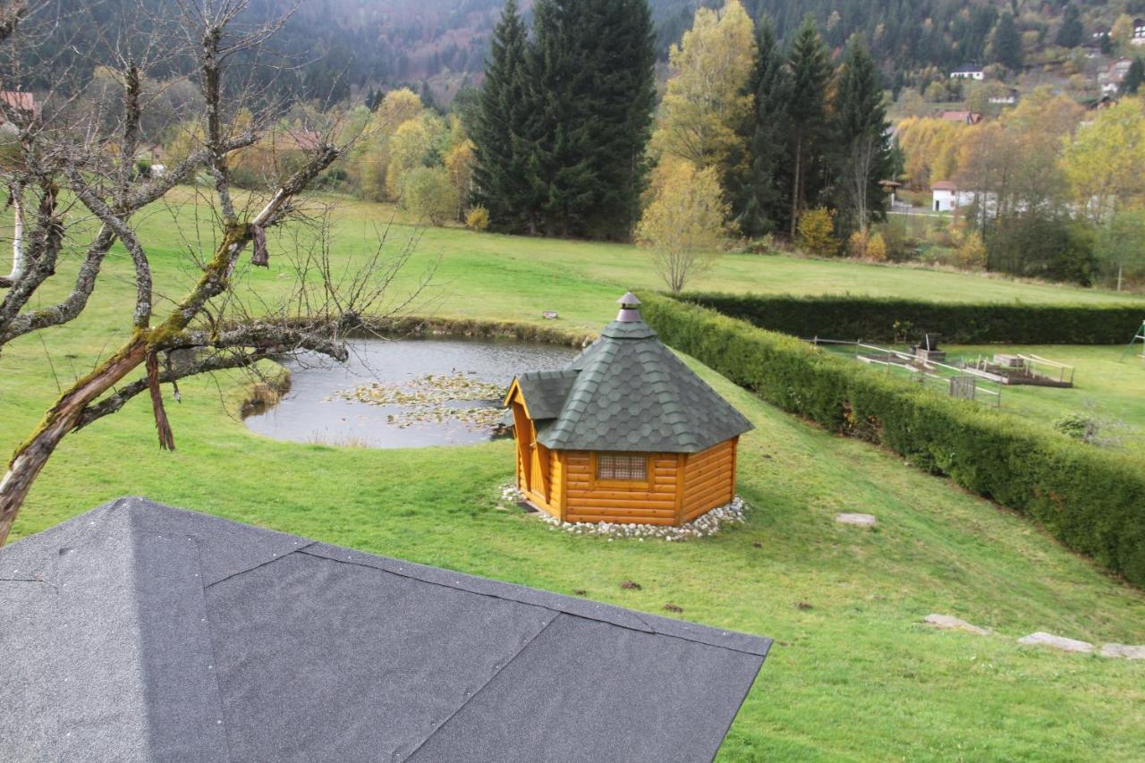 Chalet Centauree - Remy Herold Xonrupt-Longemer Exteriér fotografie
