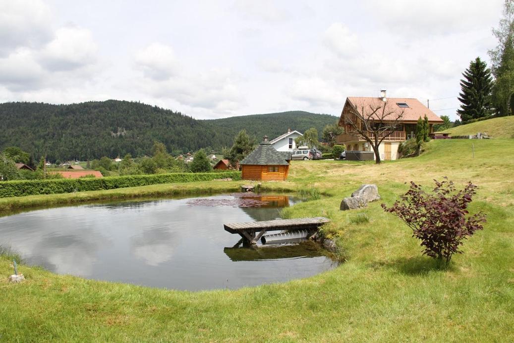 Chalet Centauree - Remy Herold Xonrupt-Longemer Exteriér fotografie