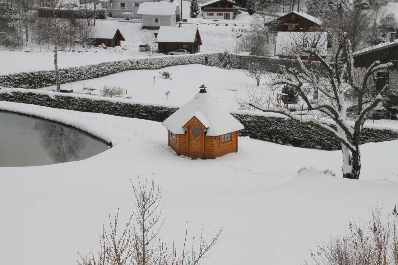 Chalet Centauree - Remy Herold Xonrupt-Longemer Exteriér fotografie